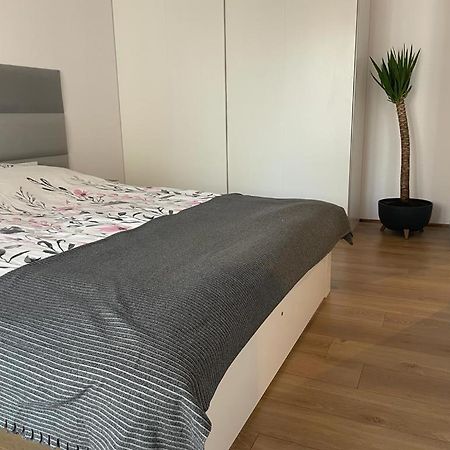 ורוצלב The Botanic Corner Apartment מראה חיצוני תמונה